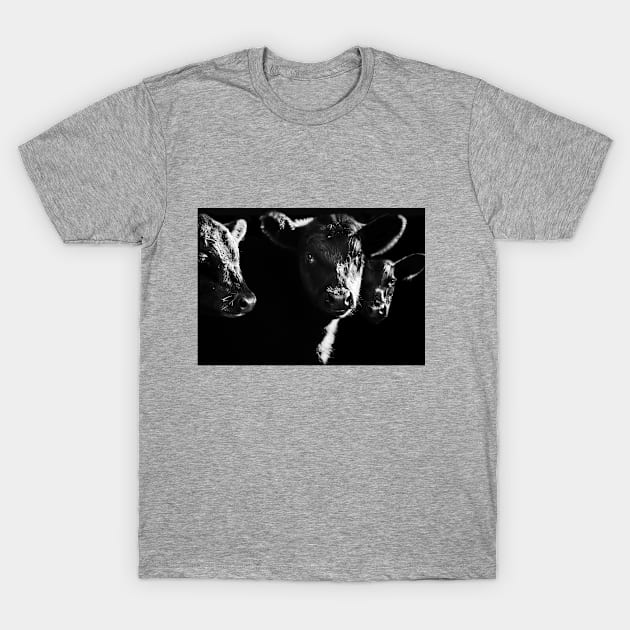 Cow With Calves #2 T-Shirt by LaurieMinor